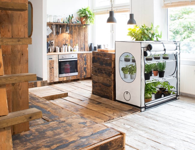 Webshop og butik med salg af gro udstyr i hele skandinavien - Resultat før skat på 1.000.000 kr. 