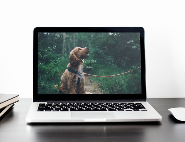 Charlietiptoe.com - Eksklusivt hundeudstyr sælges - Omsætning på 42.000 kr.