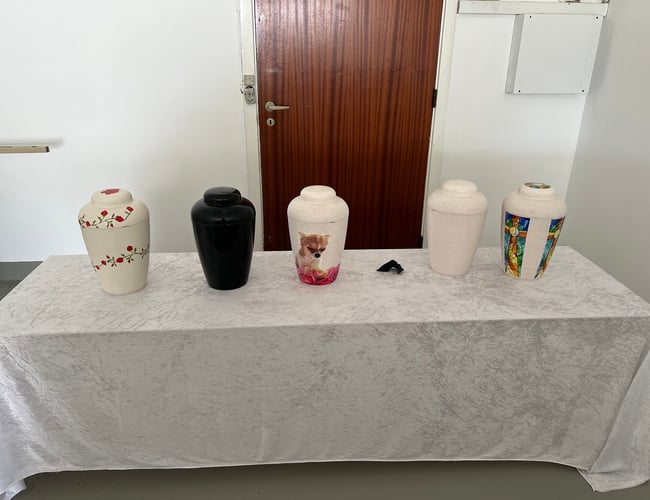 Ditsidsteminde.dk - Unikt koncept med kister