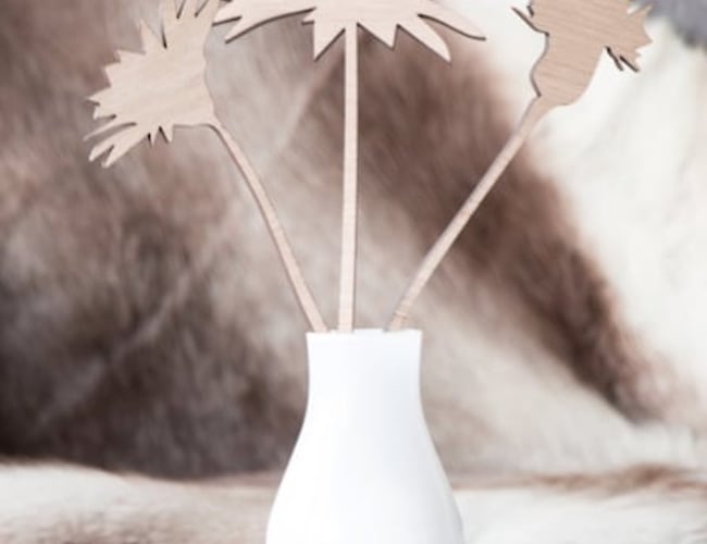 Webshop - WoodsUp.dk  Design og interiør - Nettoomsætning 2017: Kr. 111.378,- 