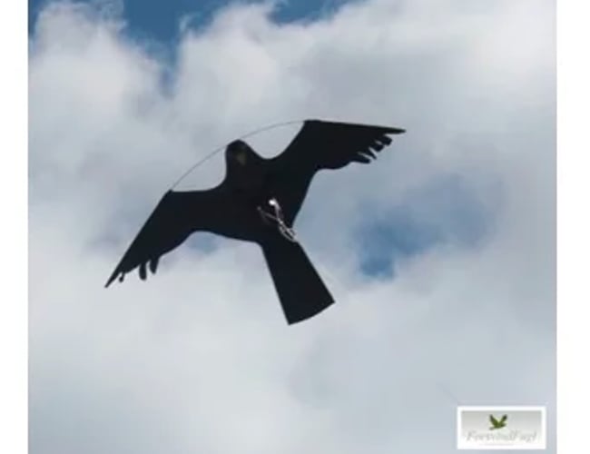 Webshop med salg af skadedyrsprodukter til B2B - Overskud før skat 30.000 kr.