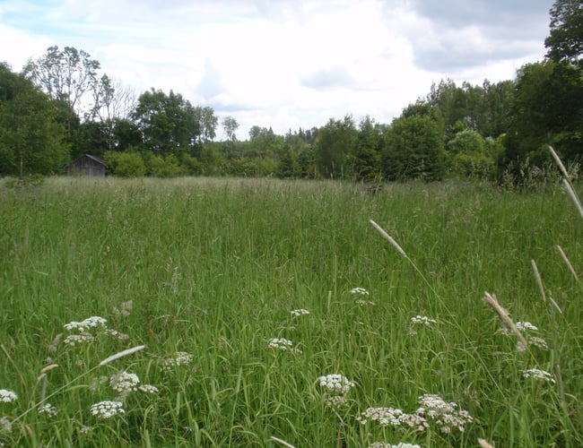 Dansk  ejere som ejer en LETISK ejendom selskab i Letland til salg
