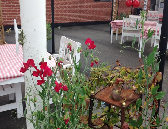 FISKEBUTIK , CAFE, RØGERI SAMT FASTE  FISKETURE TIL FISKEBIL ...UDLEJES - fortsat i drift og en unik mulighed... Kom frisk 