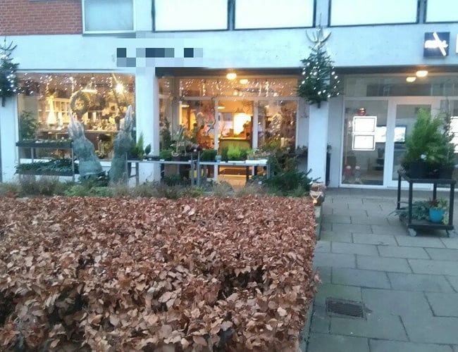 Blomsterbutik i Horsens Centrum - Hurtigt salg ønskes !