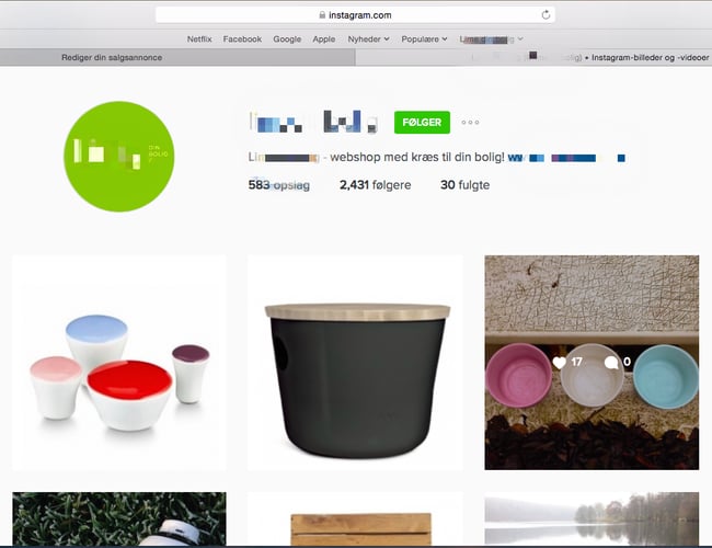 Velfungerende boligwebshop med potentiale