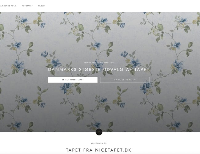 10 år gammel webshop med fast omsætning sælges billigt