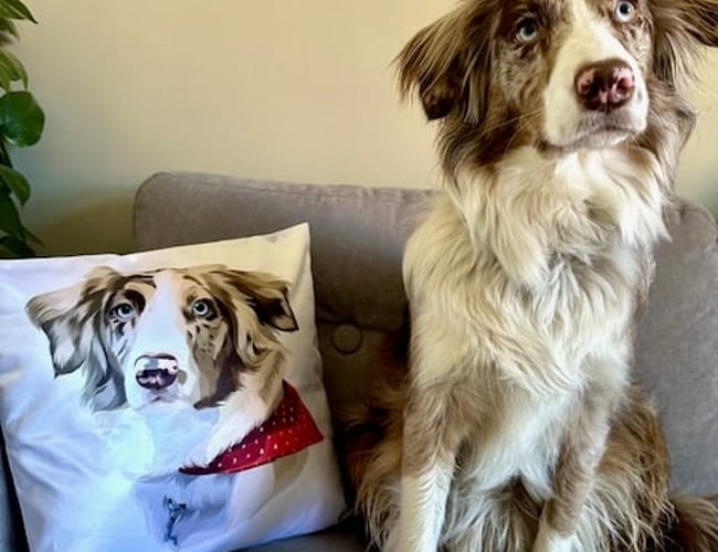 Thepawtraitfactory.com - Kæledyrsportrætter, puder, kaffekrus og muleposer