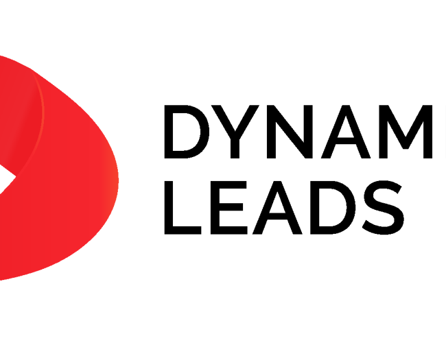 Søger aktiv partner/medejer til at stå for B2B salg 