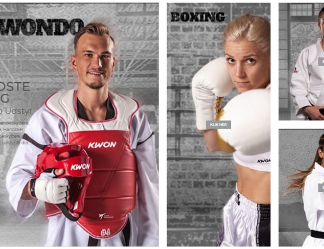 Fantastisk Webshop i en god nichebranche