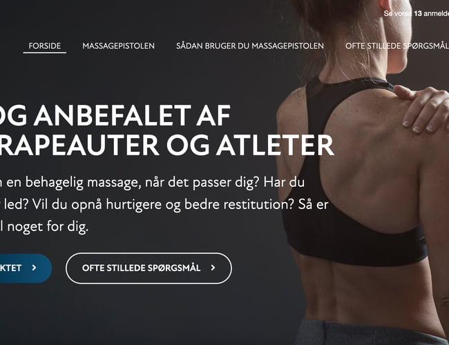 Professionelt etableret webshop med salg af massagepistoler - Omsætning på 76.364 kr.