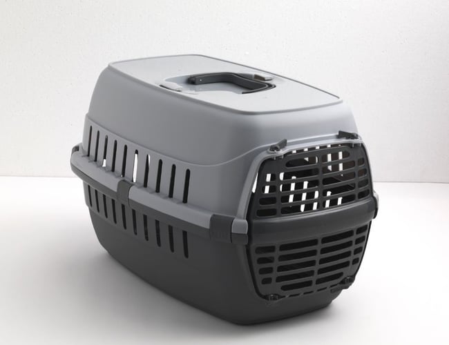 4 webshops med salg af kæledyrs produkter - min. 40.000 kr. i overskud pr. måned