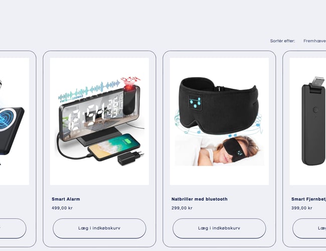 Sælger denne dropshipping webshop med 2-4 dages levering