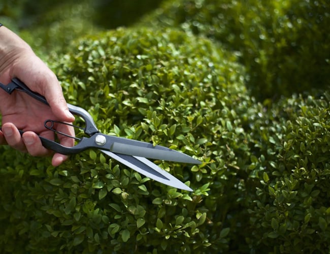 Veletableret webshop med salg af kvalietshaveprodukter - Overskud 2020: 215.655 kr.