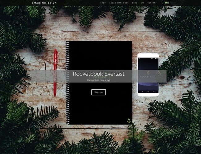 Webshop med 100.000 kr. i omsætning 