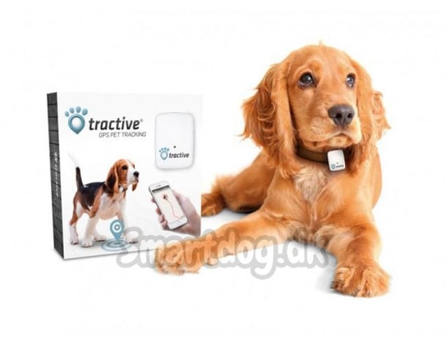 Smartdog.dk - SEO-optimeret webshop med overskud - 2,6 mio. omsætning