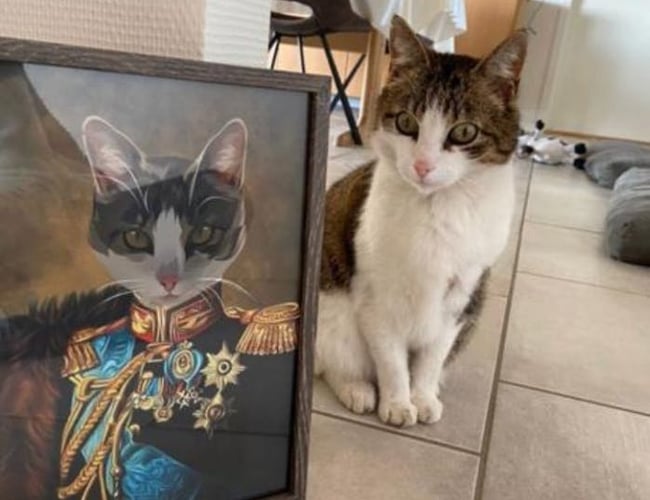 Partner søges til sjovplakat