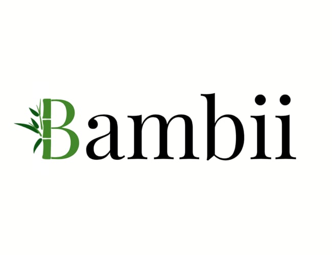 Bambii.dk sælger 2/3 af forretningen