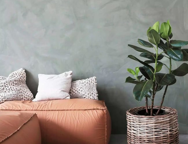 Webshop med salg af interiør 5 års anciennitet - Omsætning på 222.604 kr. i 2018