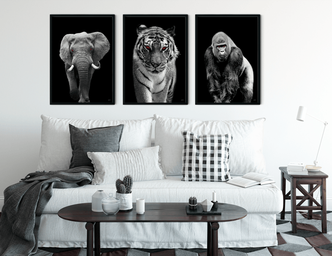 Partner/invester søges til plakat webshop