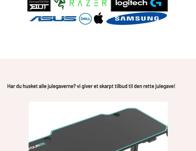 Gaming webshop med løbende ordre - 300.000 DKK. I omsætning de første 3 måneder 