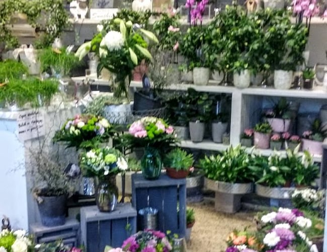 Unik Blomsterforretning i stærk fremdrift sælges. Få julehandlen med ved hurtig handel