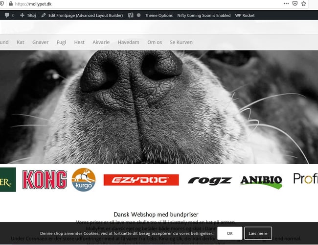 4 Velfungerende webshops med foder og tilbehør til kæledyr - Overskud på over 50.000 pr.måned i 2021