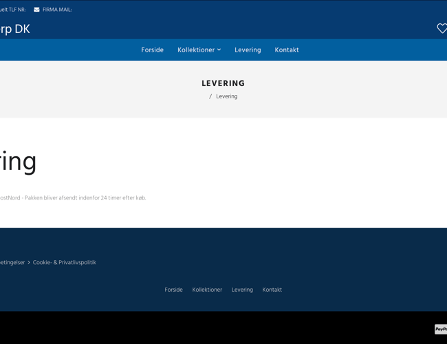 Dropshipping Webshop med 100 produkter 