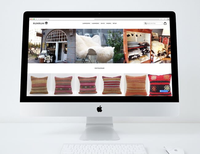 Engros og webshop med lammeskind og hjemmesko med høj avance. Overskud før skat: 300.000 kr.