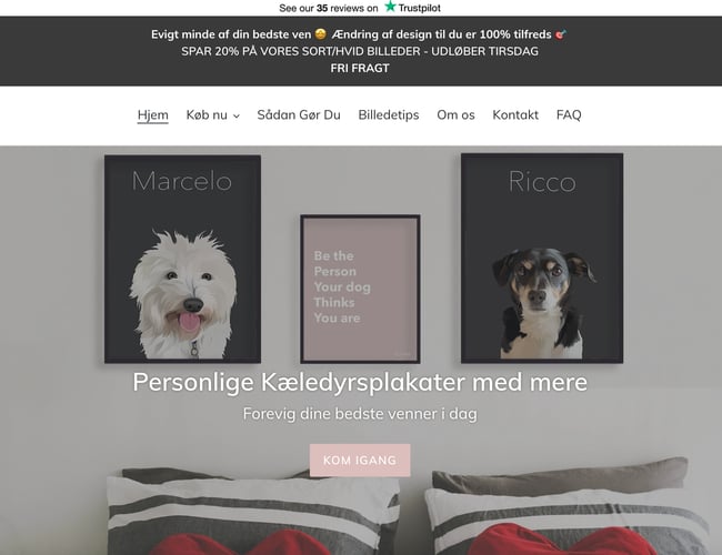 Tids- og ressourcesparsom plakatwebshop til kæledyrs - ÅTD omsætning: ca. 50.000 kr.