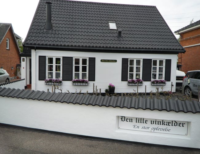 "Vinslot" med vinkælder 