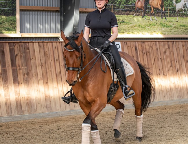 Ridetøjs webshop 4 år - Elgorre.dk - med eget brand