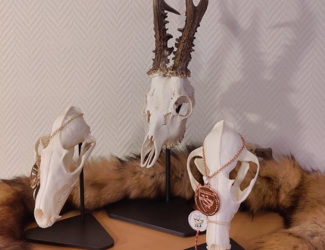 Veletableret niche webshop med Jagtudstyr - omsætning 404 t. kr. med stor organisk salg.