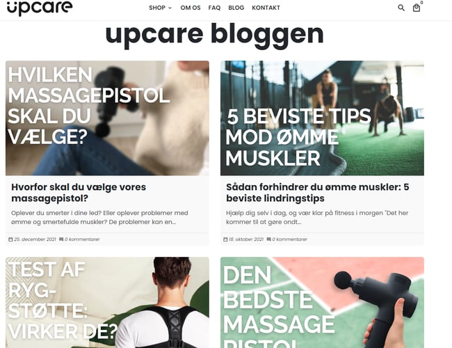 Webshop med salg af massagepistol og produkter mod rygsmerter - Omsætning: 162.000 kr. 