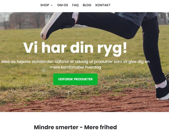 Webshop med salg af massagepistol og produkter mod rygsmerter - Omsætning: 162.000 kr.