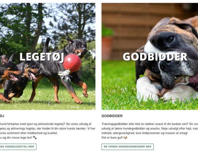 Baldersverden.dk – Webshop med artikler til store hunde – Nichémarked