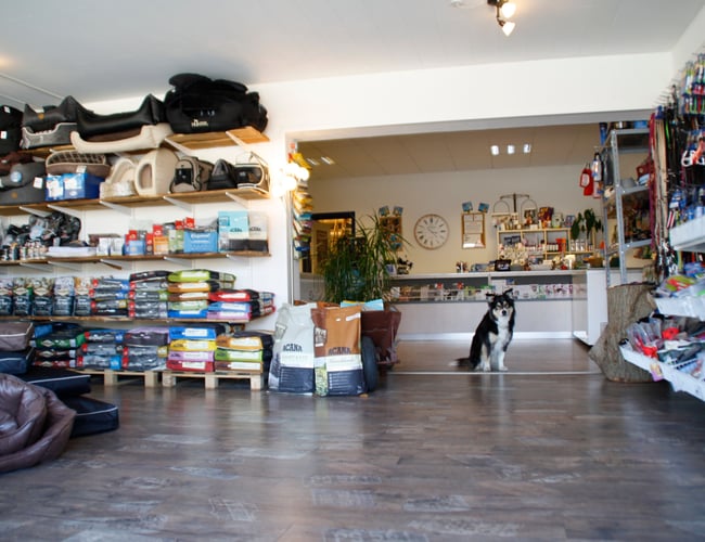 Dyrebutik til salg i Allerød - Omsætning i forrige regnskabsår ca. DKK 850.000