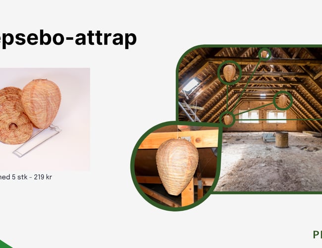 Webshop med grøn og giftfri skadedyrsbekæmpelse med stort potentiale indenfor B2B-salg.