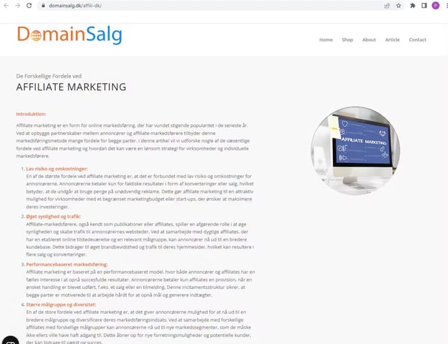 Danmarks største domæne site sælges - Salg af unikke domæner 