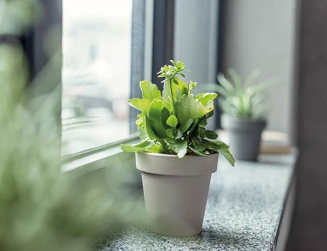 Til spændende Gazelle virksomhed inden for Natursten branchen med mange muligheder for vækst ønskes køber / partner i forbindelse med generations skifte.