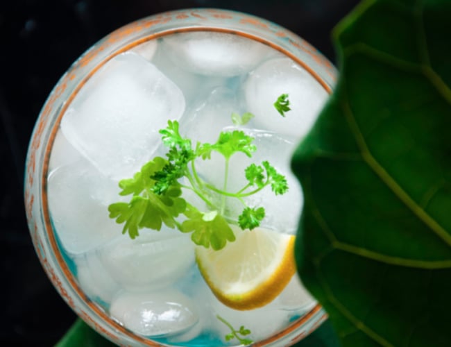 gins.dk - Webshop med gin med mulighed for dropshipping - Omsat for +40.000DKK maj måned 