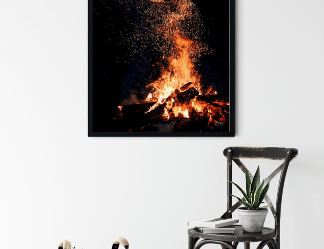 Partner/invester søges til plakat webshop