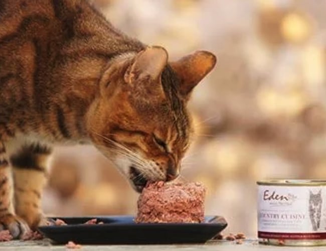 Nemfoder.dk - Webshop Speciale af Salg af dyrefoder - Overskud på 221.000 kr i 2017.