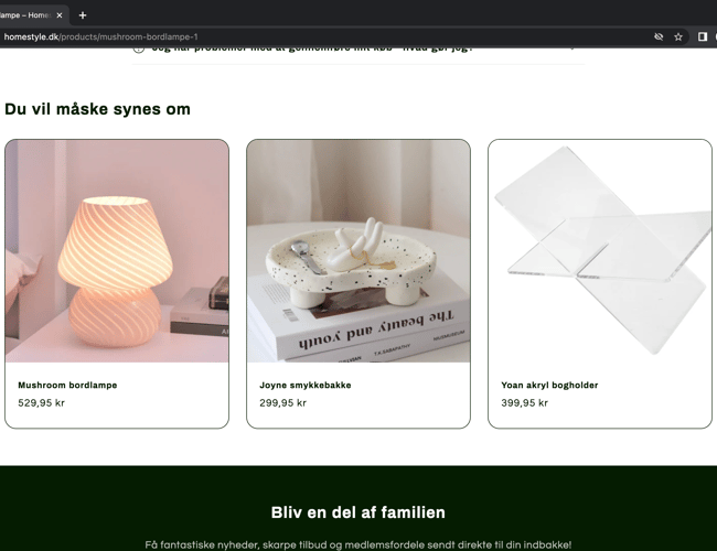 HOMESTYLE l 100% køreklar dropshipping hjemmeside til salg