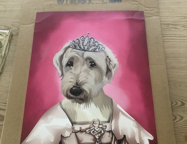 SJOVPLAKAT.DK til salg 