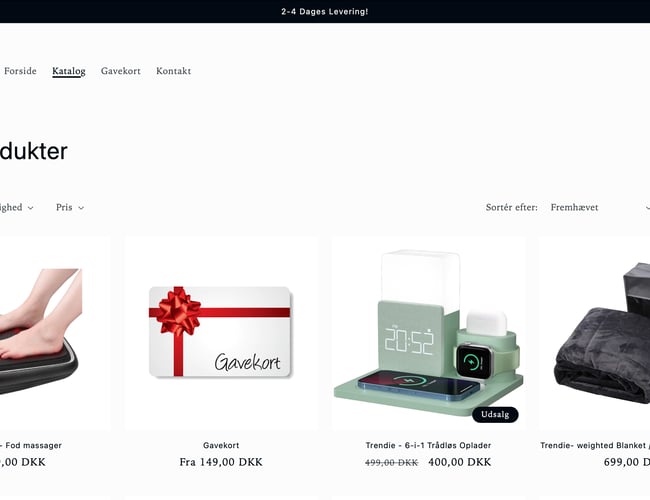 Salgklar webshop TRENDIE.DK - Perfekt til dig som ønsker at starte din egen dropshipping rejse 