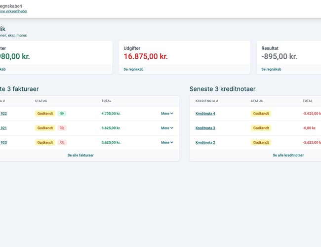 Regnskabsprogram til salg