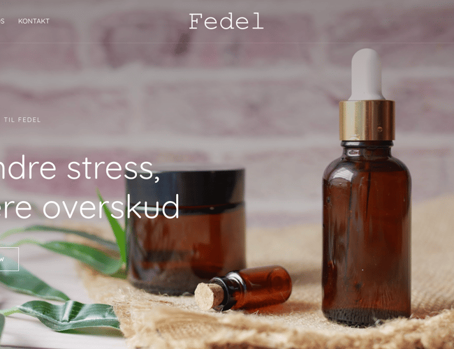 Dropshipping virksomhed med website og super produkt