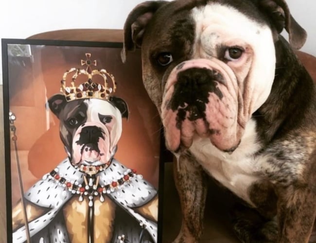 SJOVPLAKAT.DK til salg - 