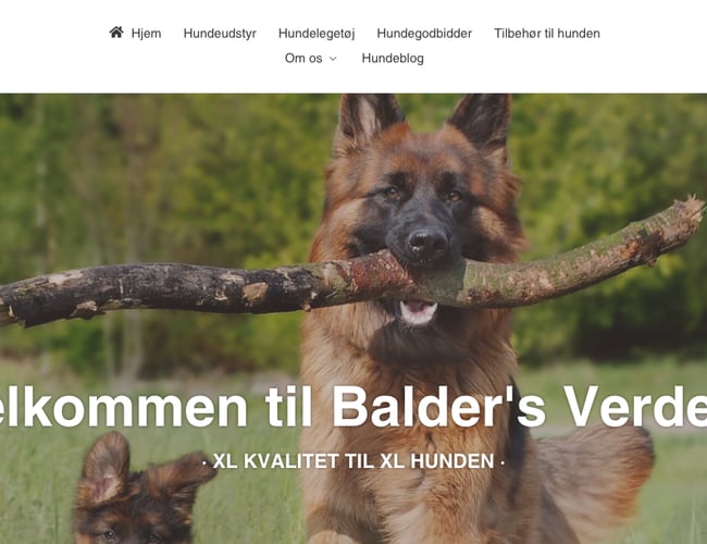 Baldersverden.dk – Webshop med artikler til store hunde – Nichémarked