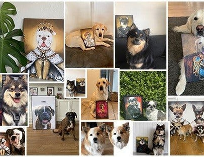 SJOVPLAKAT.DK TIL SALG - omsat for 40.000 kr. med minimal markedsføring